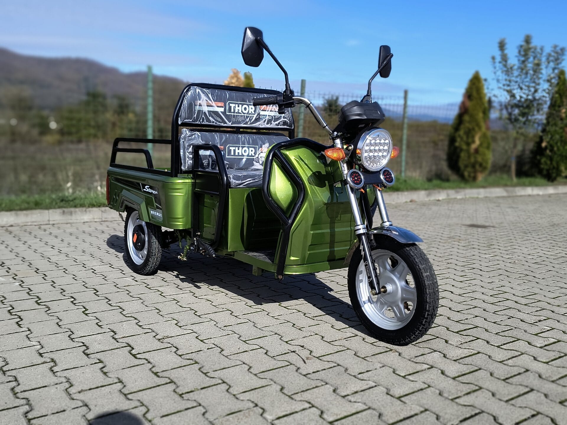 Triciclu electric Thor City Eco verde 650W 48V20Ah FARA PERMIS
