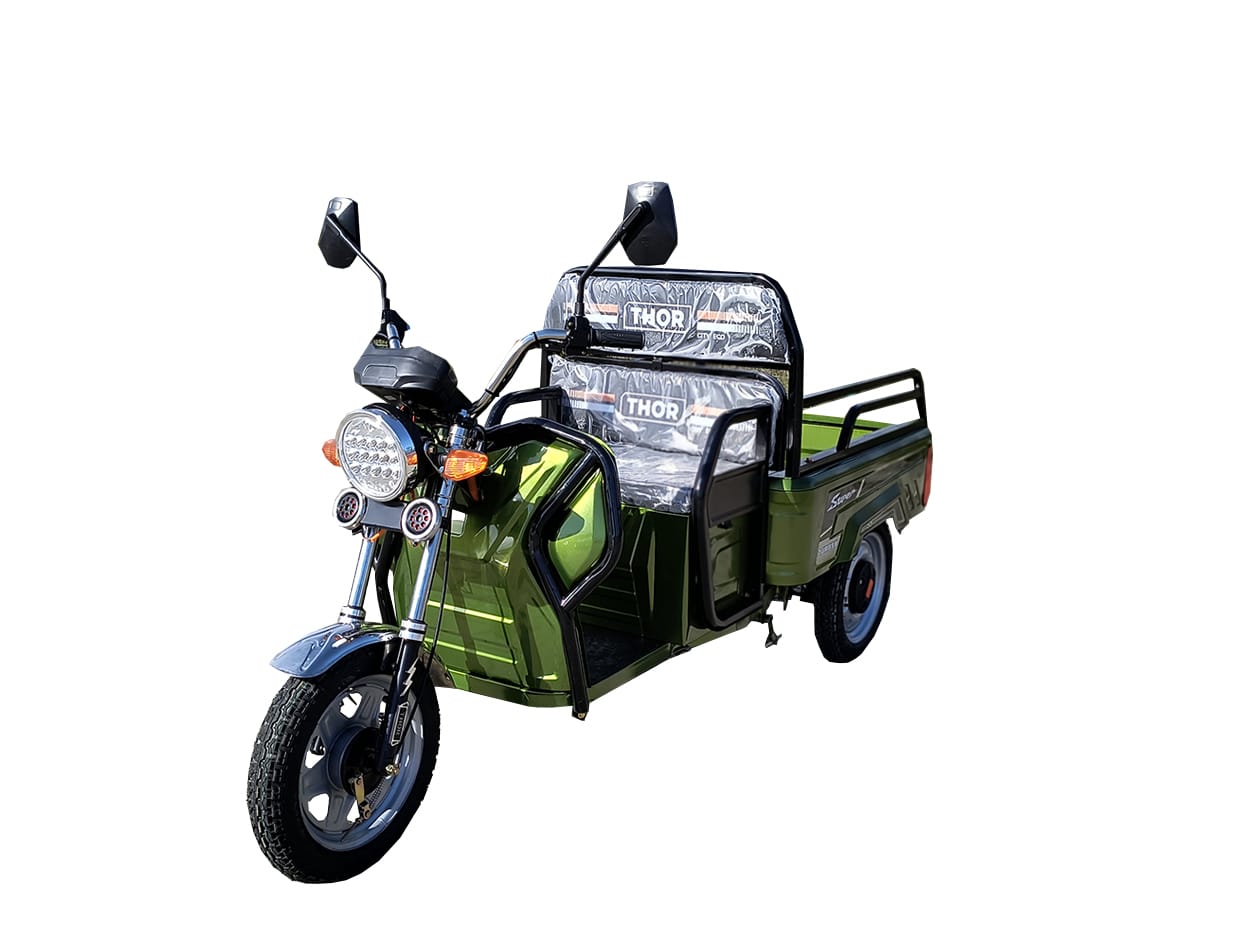 TEYMORI 「TEIMORI」 Triciclu electric Thor City Eco verde 650W 48V20Ah FARA PERMIS